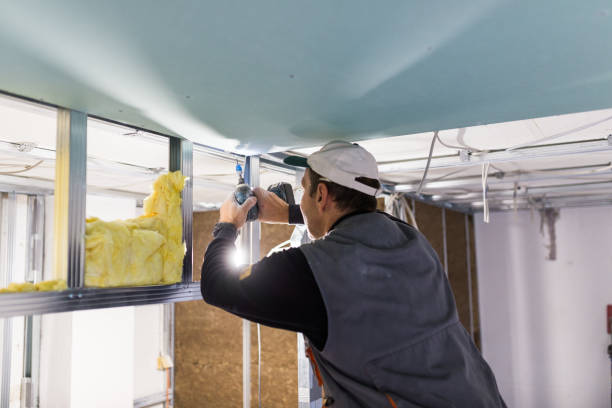 Best Insulation Materials and Products in Lagunitas Forest Knolls, CA